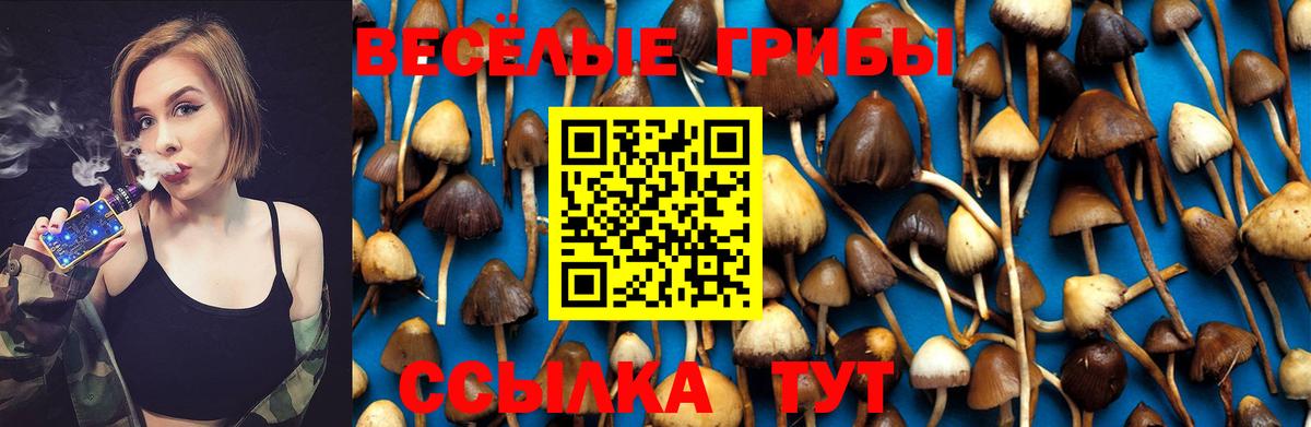 Галлюциногенные грибы прущие грибы Тайшет