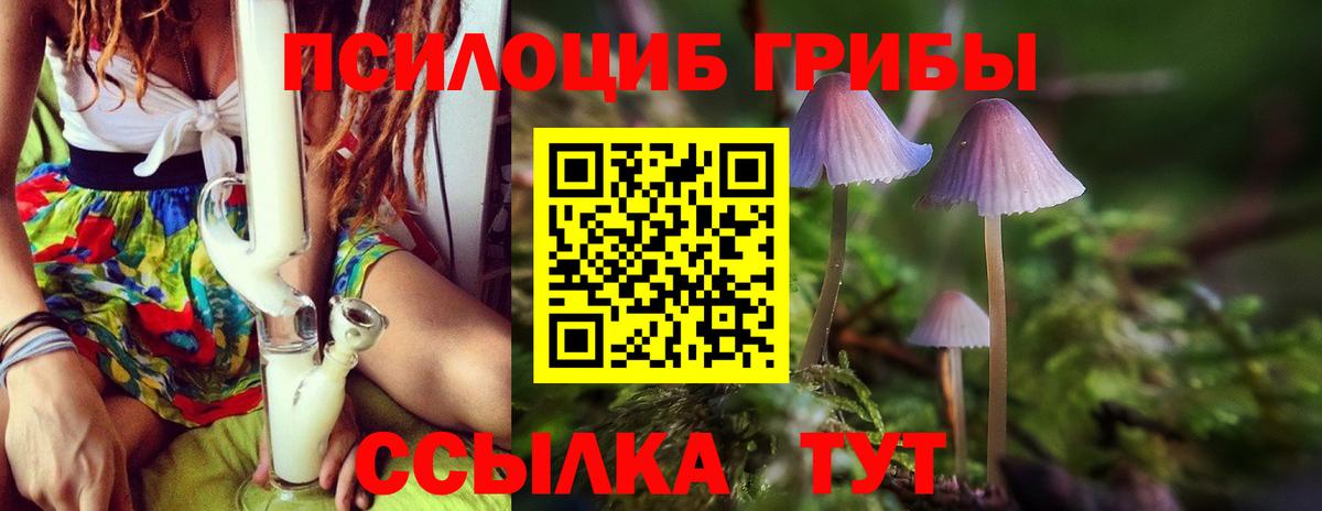 Галлюциногенные грибы Psilocybine cubensis  Галлюциногенные грибы Psilocybine cubensis  Тайшет  Вход с VPN 